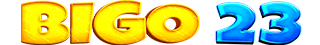 BIGO 23